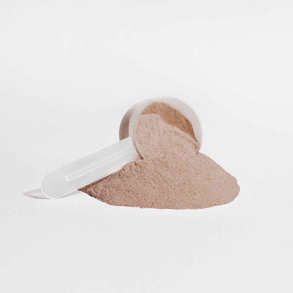 Chocolate Protein Powder (Plant Blased) - Vittoro