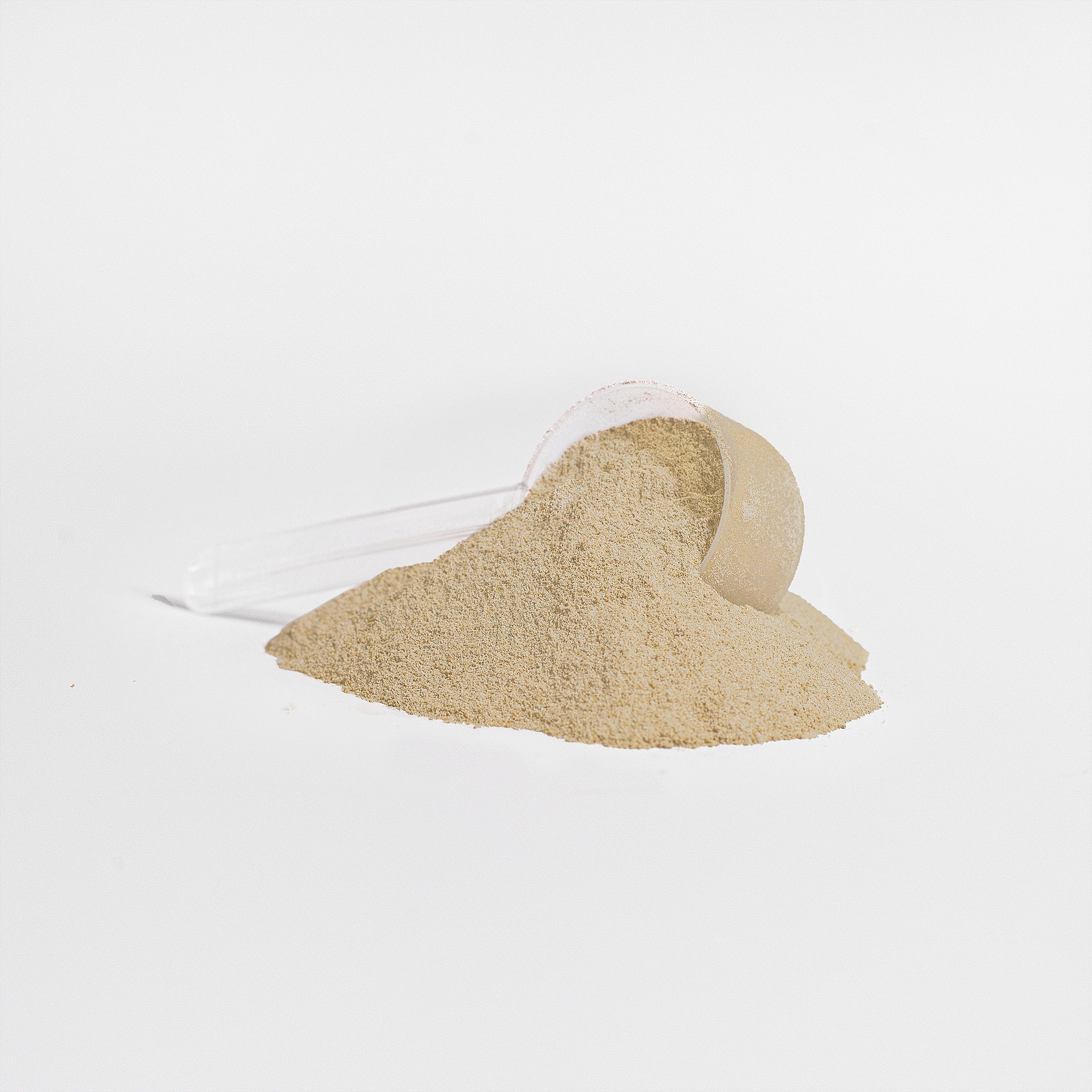 Vanilla Protein Powder (Plant Blased) - Vittoro